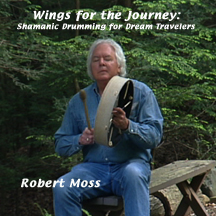 Wings for the Journey